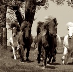 Race